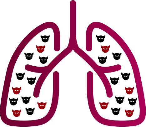 lungs