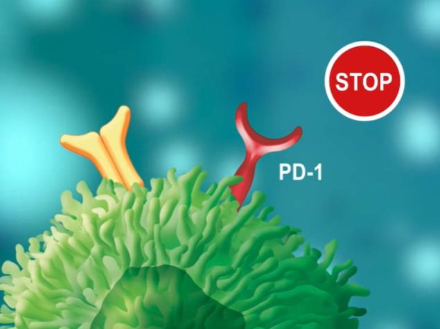 virus with stop sign
