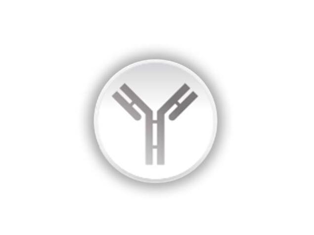 logo les cles